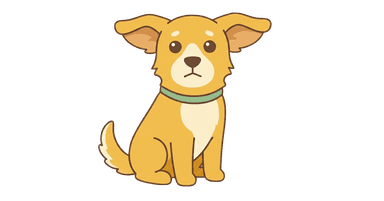 Buddy judging your life choices